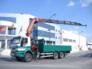 Alquiler de Camión Grúa (Truck crane) / Grúa Automática 50 tons.  en Baja California Sur, México